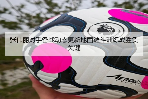 张伟丽对手备战动态更新地面缠斗训练成胜负关键